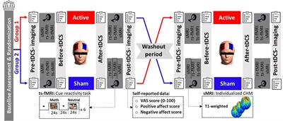 DLPFC stimulation alters large-scale brain networks connectivity during a drug cue reactivity task: A tDCS-fMRI study